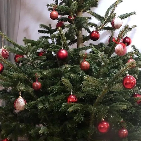 Les Cigognes * Neuwiller-lès-Saverne